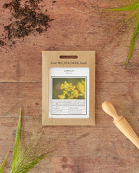 Kent Wildflower Seeds - Cowslip (Primula veris)