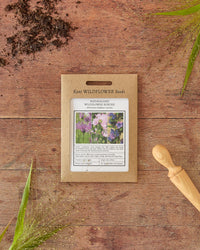Kent Wildflower Seeds - Naturalised Wildflower Border Mix