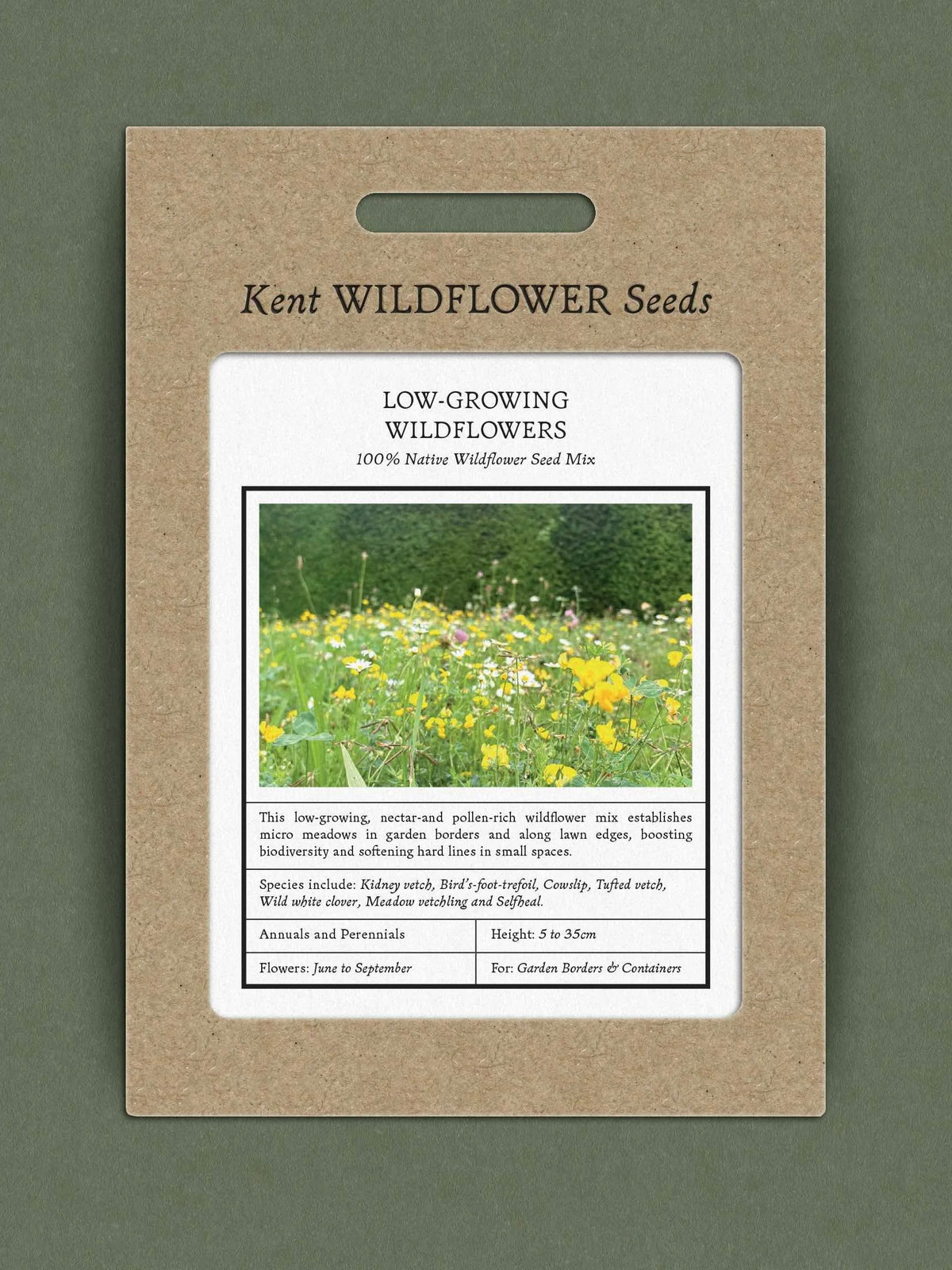 Kent Wildflower Seeds - Low-Growing Wildflowers for Lawns
