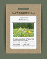 Kent Wildflower Seeds - Low-Growing Wildflowers for Lawns