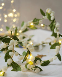 Melanie Porter Magical Mistletoe Fairy Lights