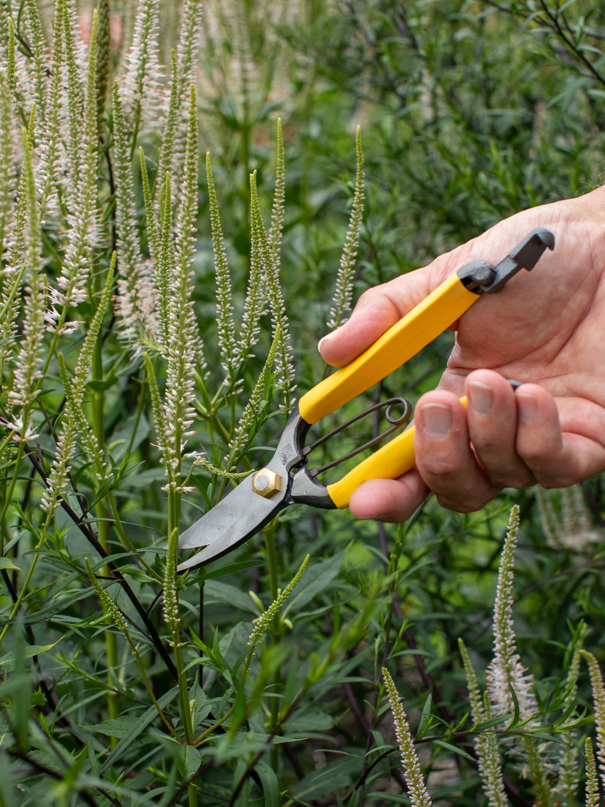 Niwaki GR Pro Lightweight Secateurs