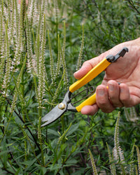 Niwaki GR Pro Lightweight Secateurs