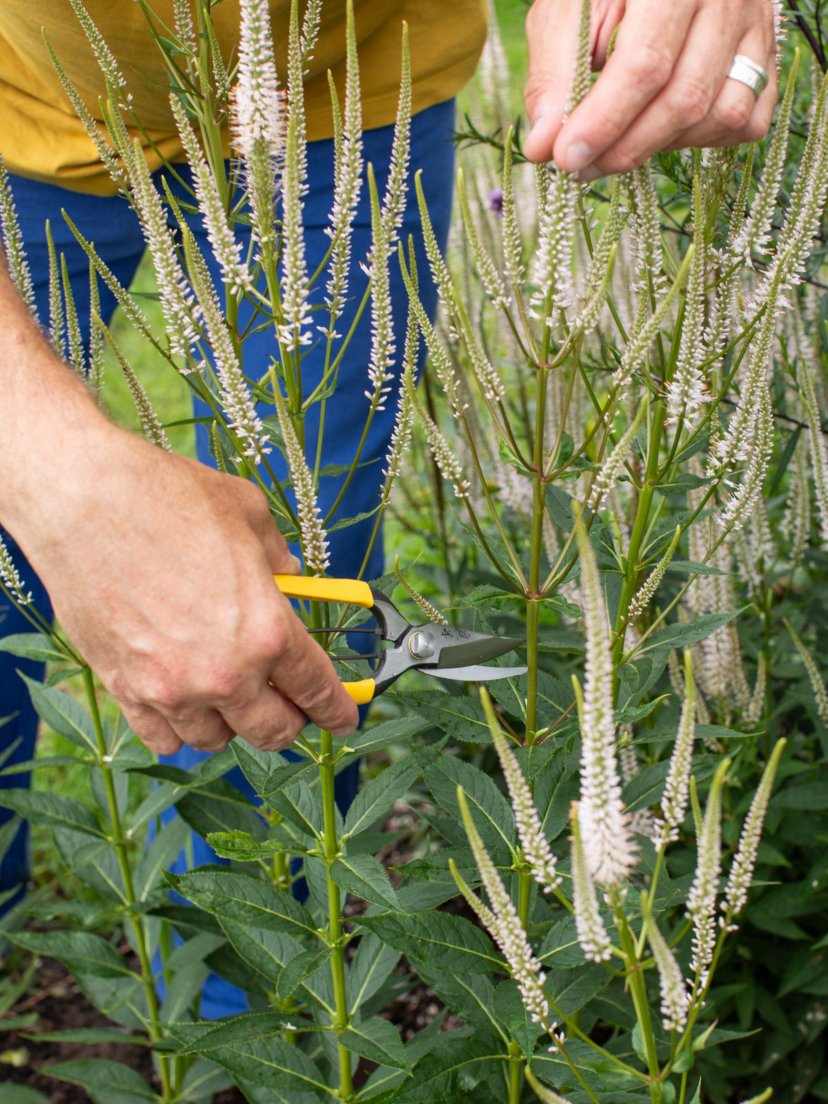 Niwaki GR Pro Lightweight Secateurs