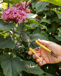 Niwaki GR Pro Secateurs