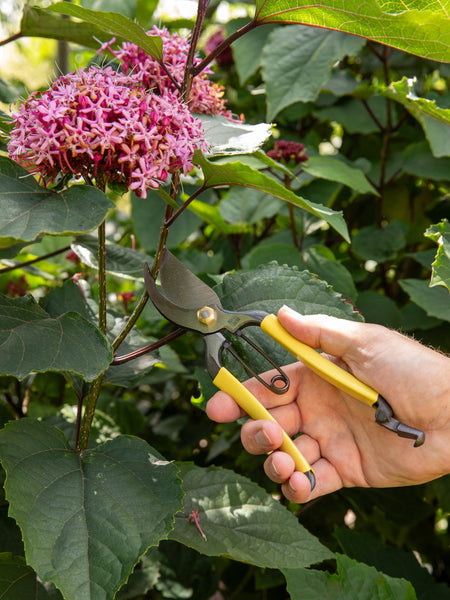 Niwaki GR Pro Secateurs