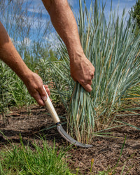 Niwaki Herbaceous Sickle