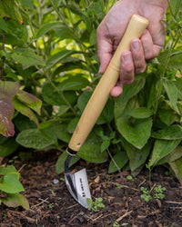 Niwaki Weeding Hoe
