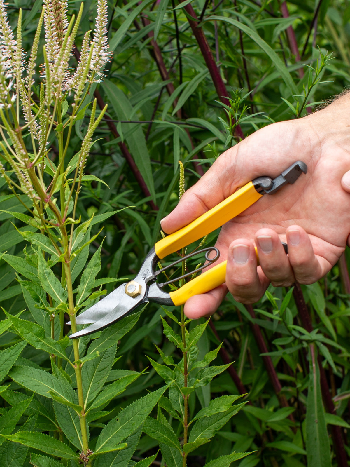 Niwaki GR Pro Lightweight Secateurs