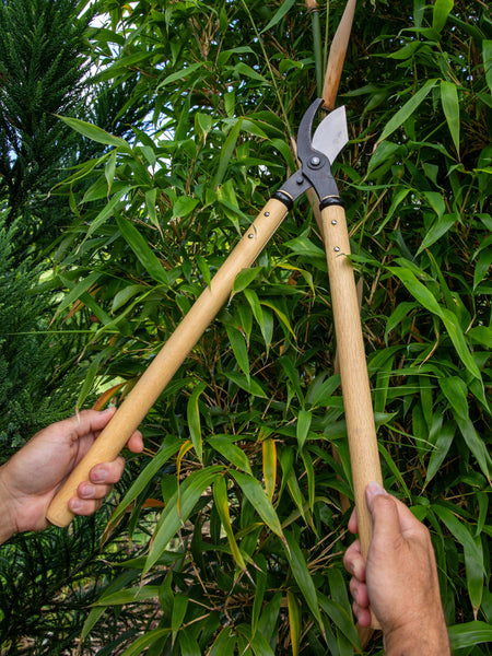 Niwaki loppers