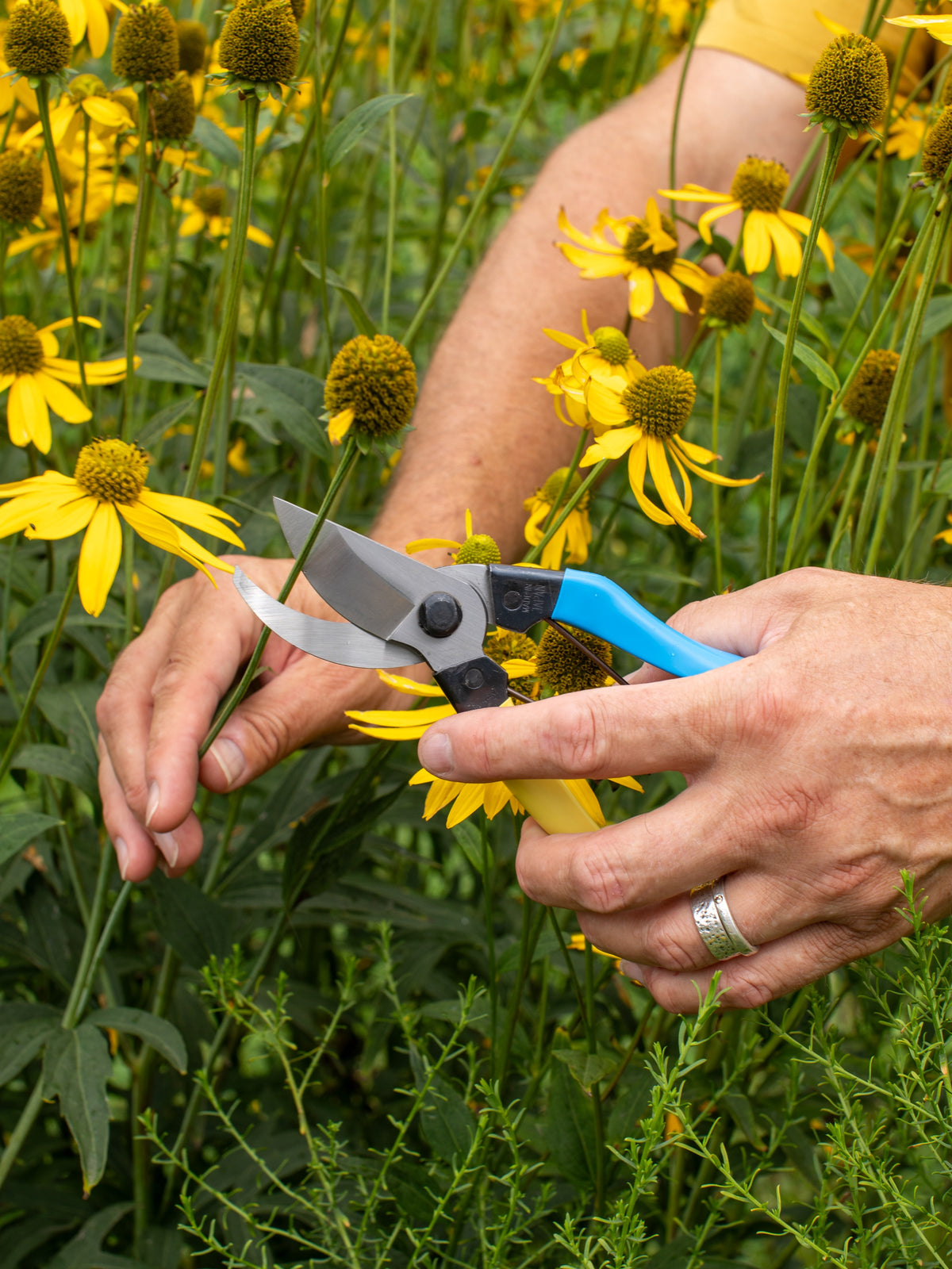 Niwaki Mainichi Secateurs - Left Handed