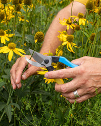 Niwaki Mainichi Secateurs - Left Handed
