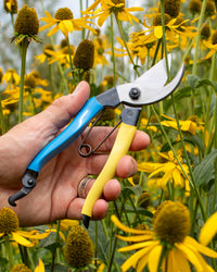 Niwaki Mainichi Secateurs - Left Handed