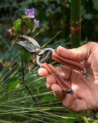Niwaki Mini Secateurs