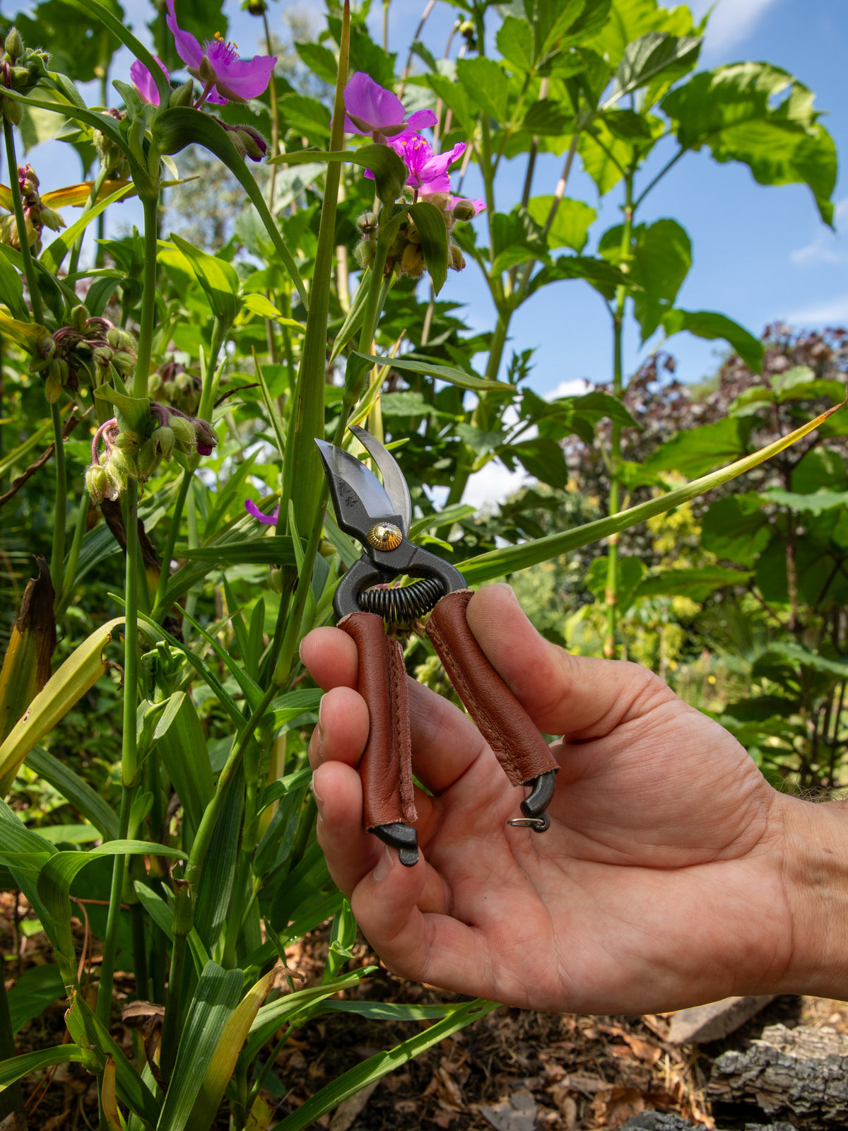 Niwaki Mini Secateurs