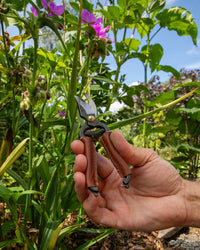 Niwaki Mini Secateurs