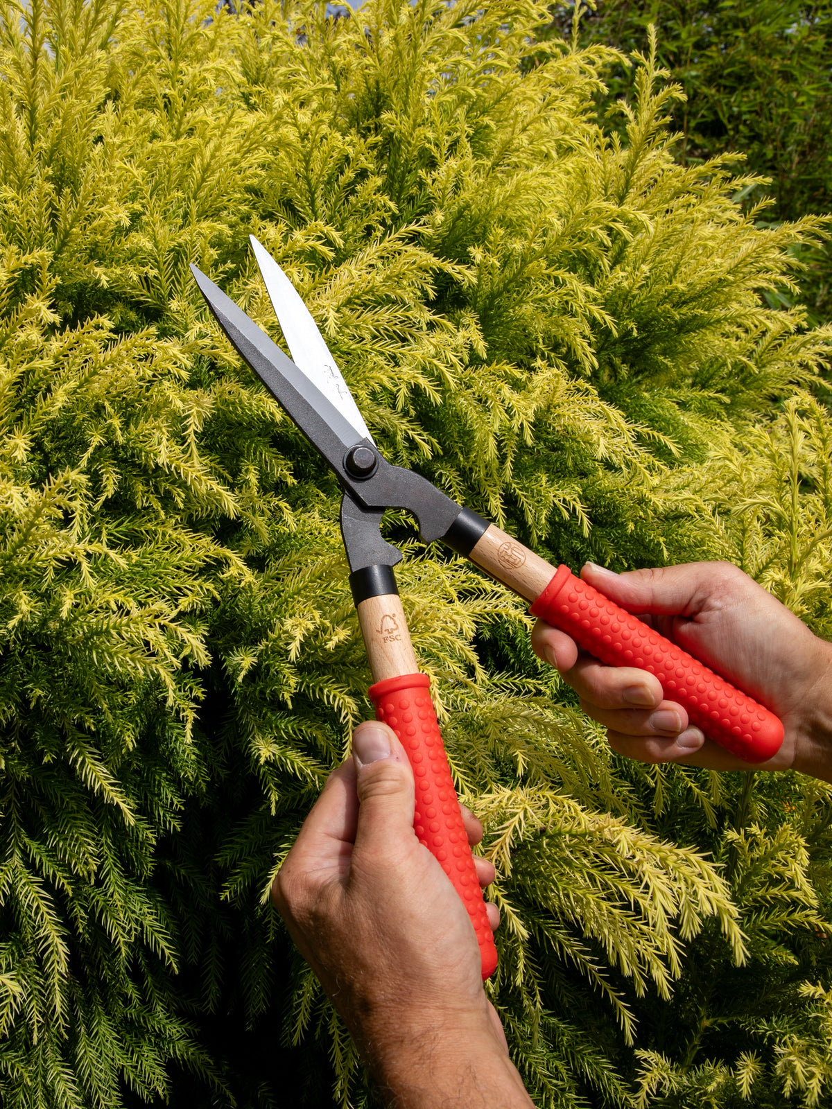 Niwaki Mini Shears