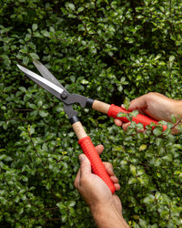 Niwaki Mini Shears