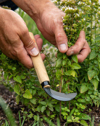 Niwaki Mini Sickle