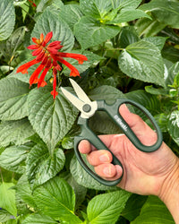 Niwaki Sakagen Flower Scissors, Moss Green