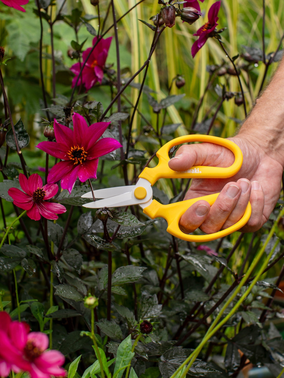 Niwaki Sakagen Flower Scissors, Yellow