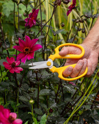 Niwaki Sakagen Flower Scissors, Yellow