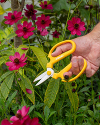 Niwaki Sakagen Flower Scissors, Yellow