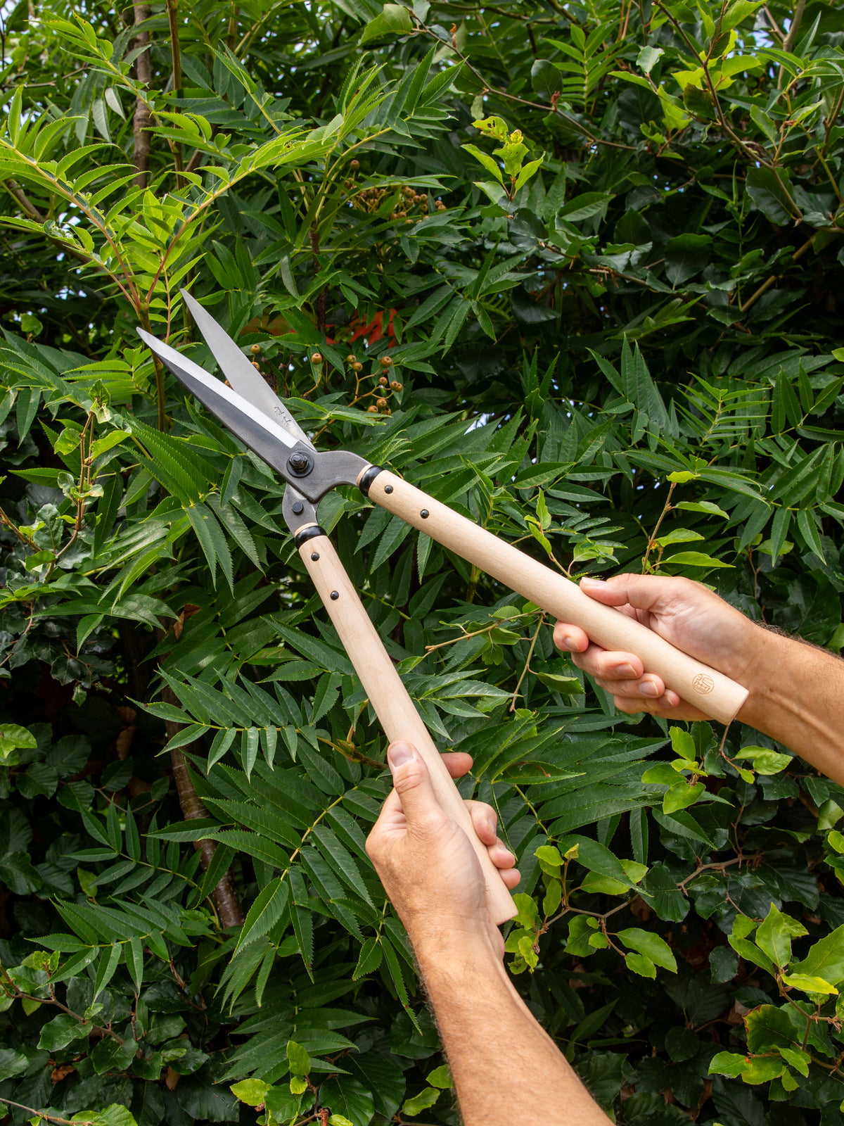 Niwaki Garden Shears