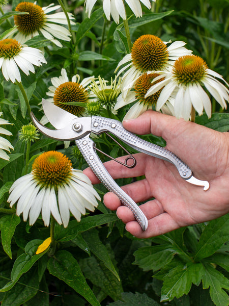 Niwaki Shumatsu Secateurs