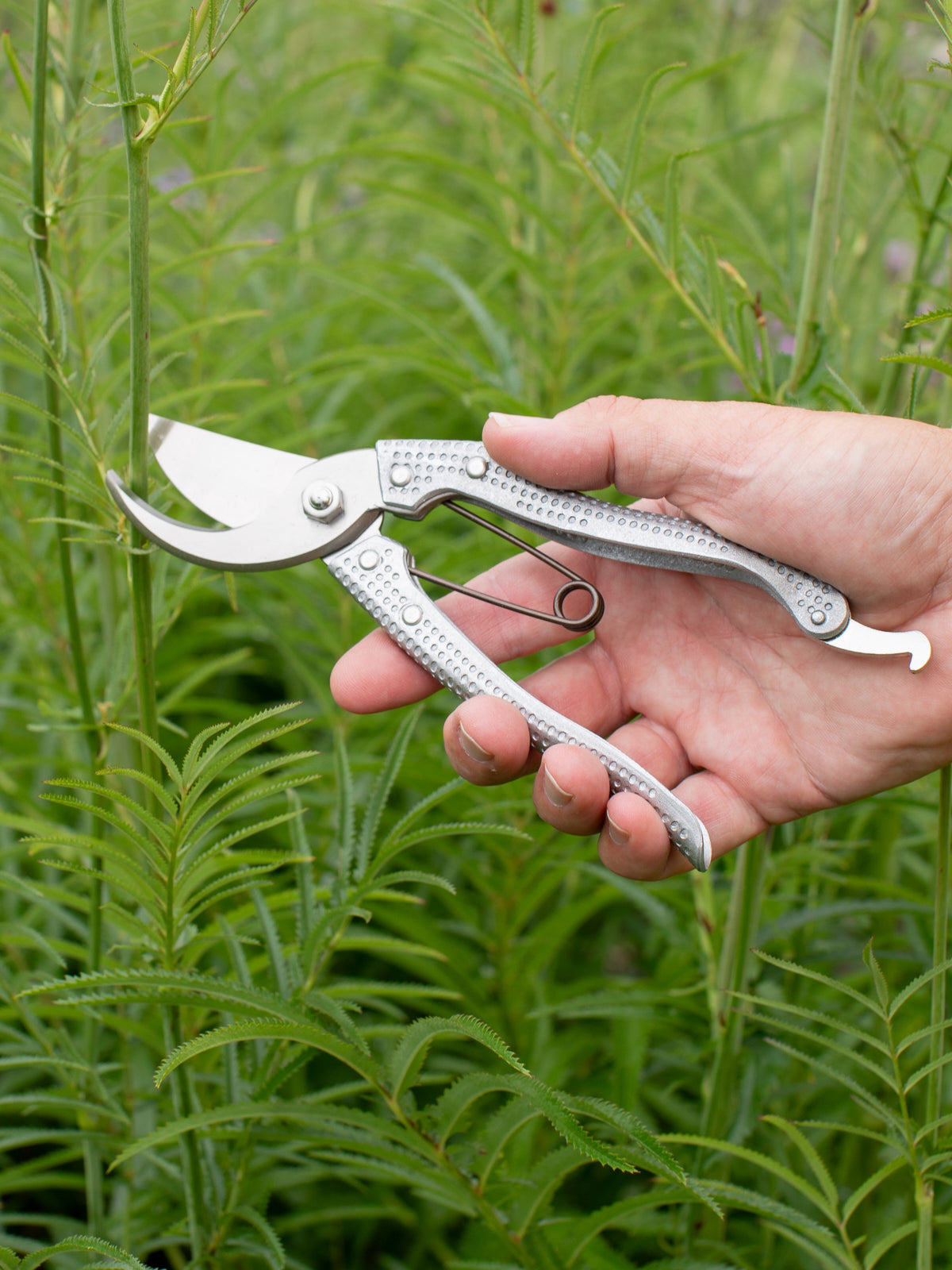 Niwaki Shumatsu Secateurs