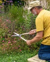 Niwaki Garden Shears