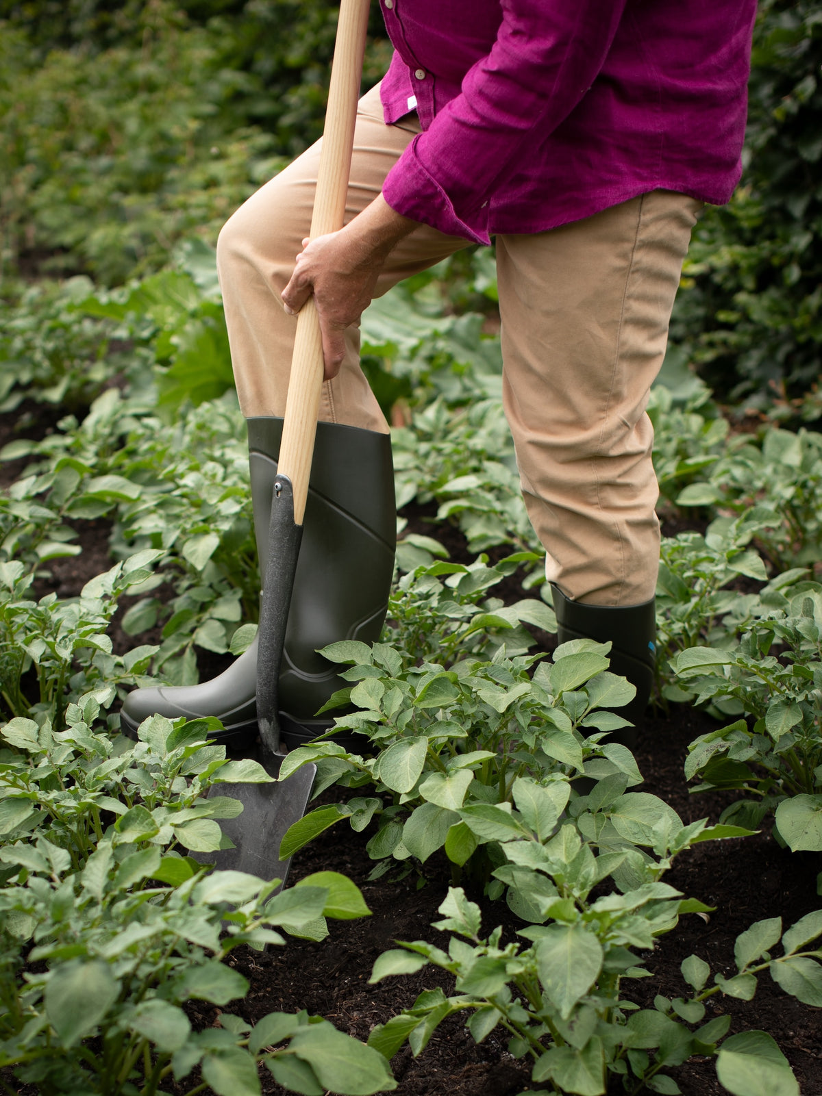 Italian Garden Wellies, Olive Green - LAUNCHING AUTUMN '26