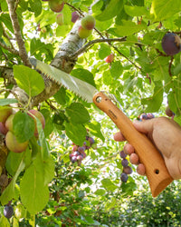 Opinel No.18 Folding Saw