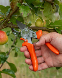 Original LÖWE 10.107, The Original Anvil Secateurs