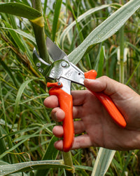 Original LÖWE 10.107, The Original Anvil Secateurs