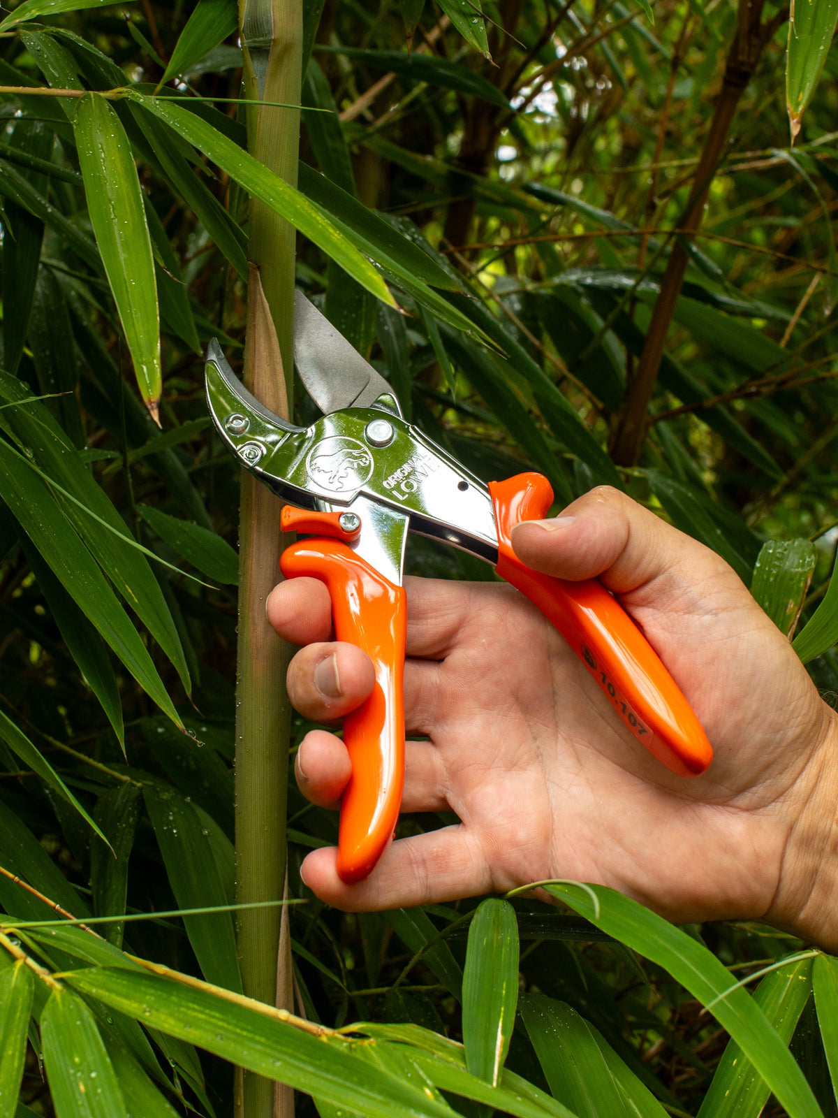 Original LÖWE 10.107, The Original Anvil Secateurs