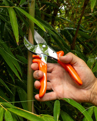 Original LÖWE 10.107, The Original Anvil Secateurs