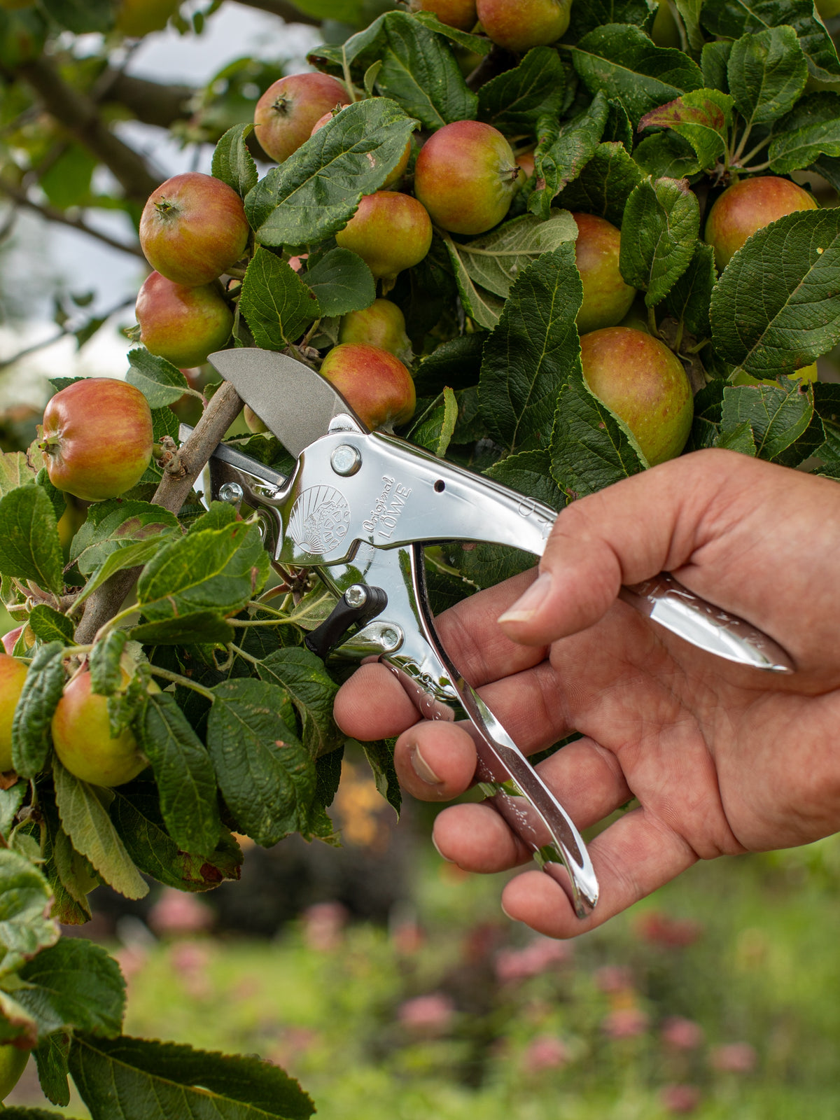 Original LÖWE 1.100, The Original Anvil Secateurs - 100th Anniversary Edition