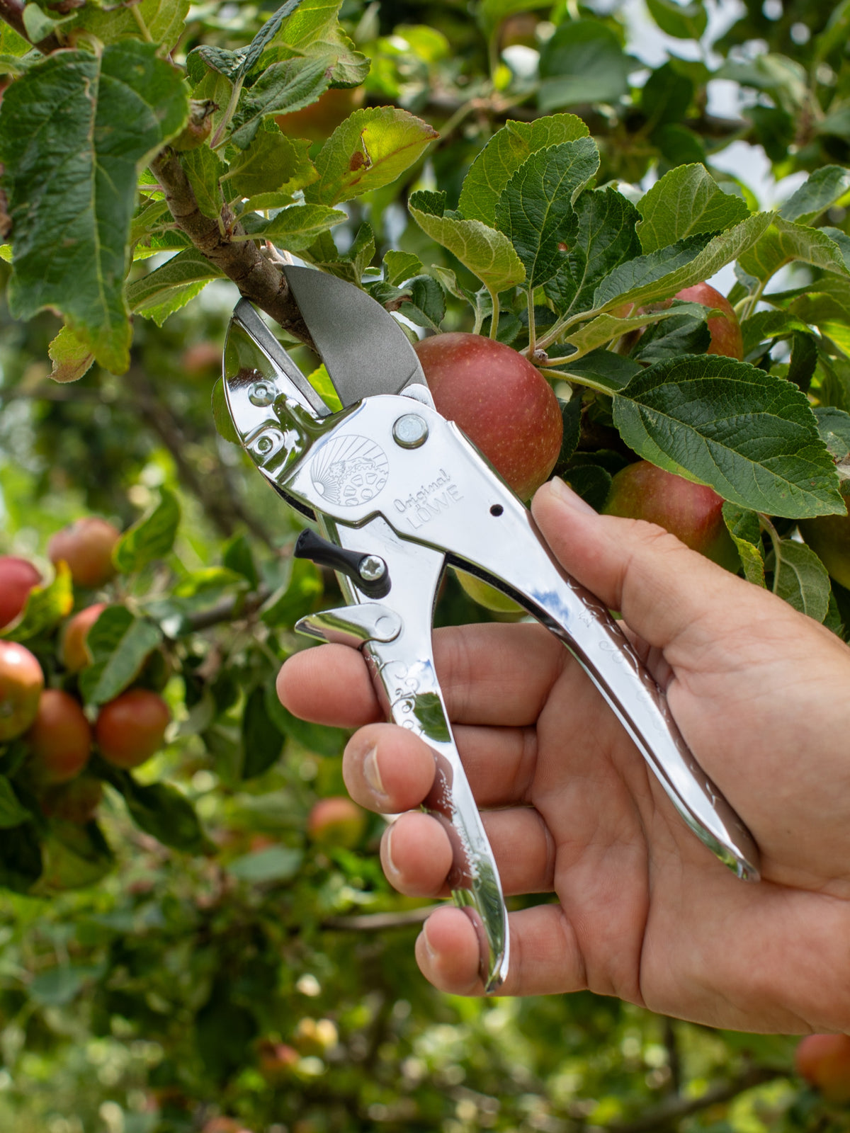 Original LÖWE 1.100, The Original Anvil Secateurs - 100th Anniversary Edition