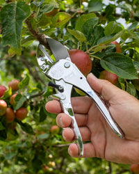 Original LÖWE 1.100, The Original Anvil Secateurs - 100th Anniversary Edition