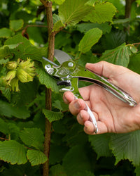 Original LÖWE 1.100, The Original Anvil Secateurs - 100th Anniversary Edition
