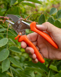 Original LÖWE 1.104, The Original Anvil Secateurs