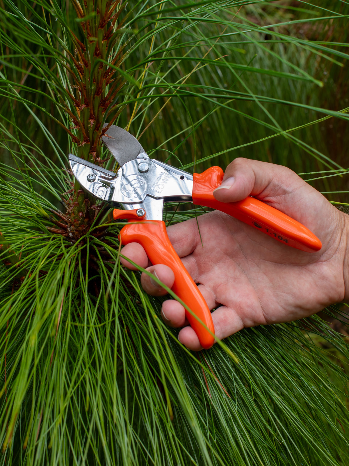 Original LÖWE 1.104, The Original Anvil Secateurs