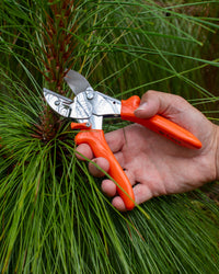 Original LÖWE 1.104, The Original Anvil Secateurs