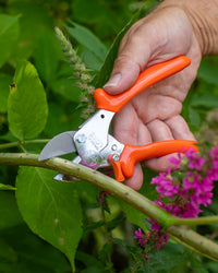 Original LÖWE 1.104, The Original Anvil Secateurs