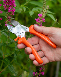 Original LÖWE 5.107, The Original Anvil Secateurs