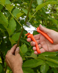Original LÖWE 5.107, The Original Anvil Secateurs