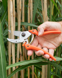 Original LÖWE 8.107 Professional Anvil Secateurs