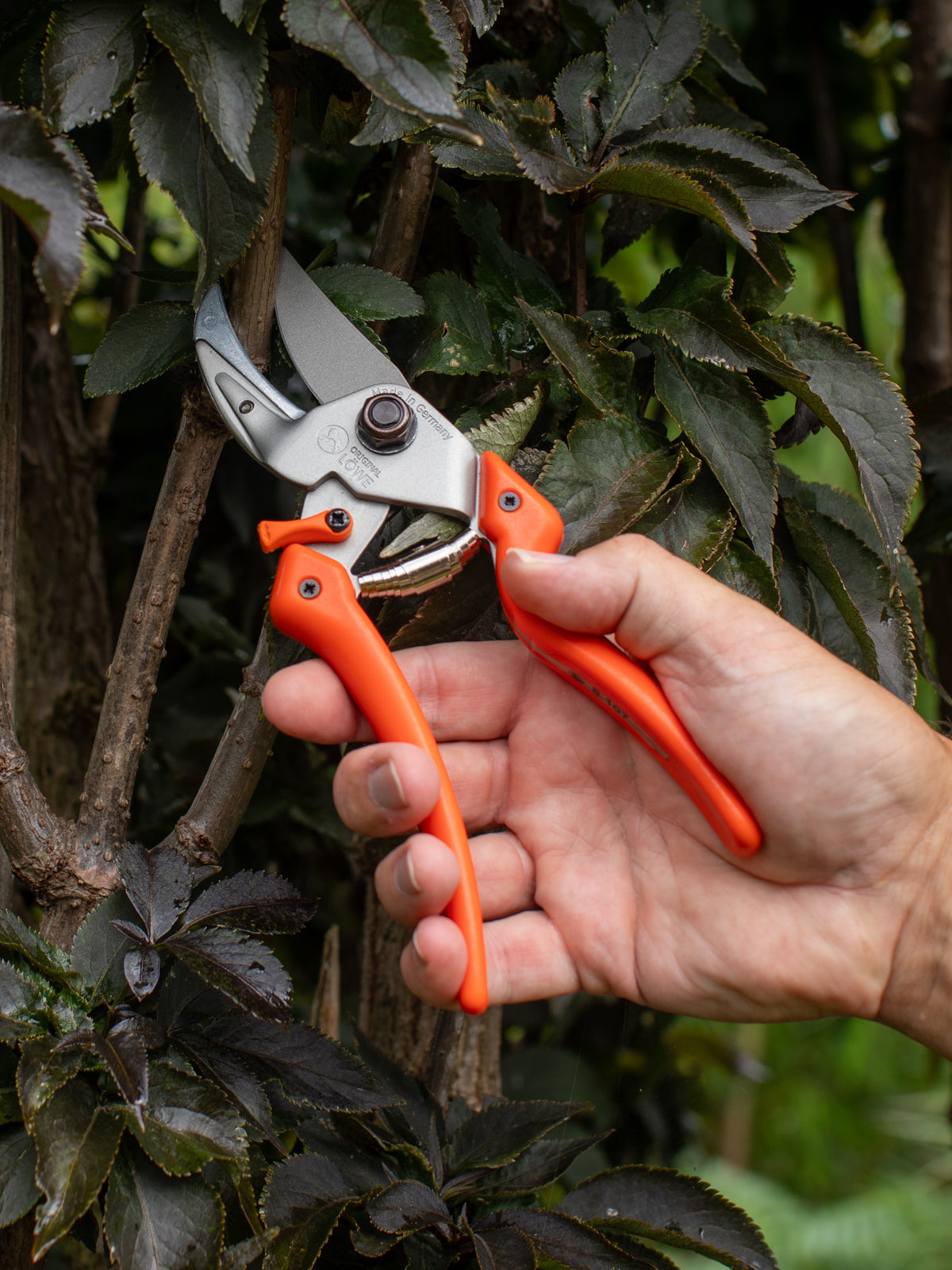 Original LÖWE 8.107 Professional Anvil Secateurs