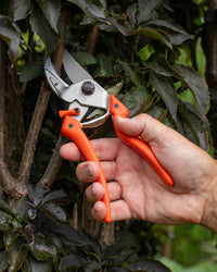 Original LÖWE 8.107 Professional Anvil Secateurs